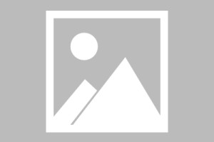 满冠体育官网- 英超VAR判罚再掀争议浪潮  